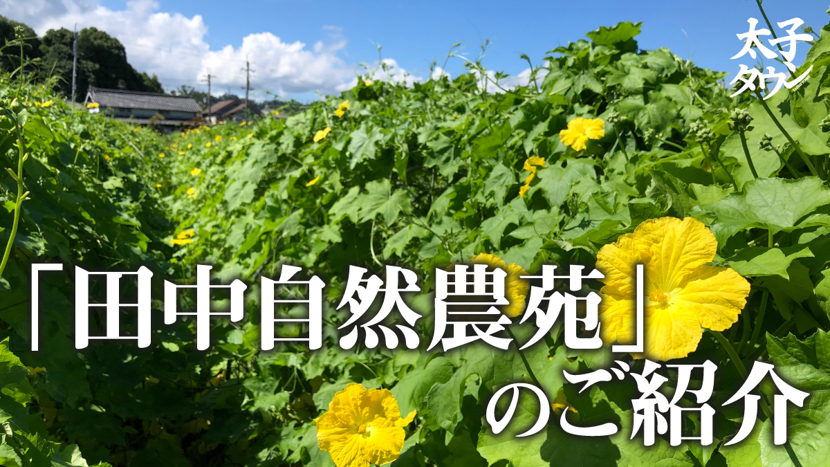 【大阪府太子町】「田中自然農苑」のご紹介
