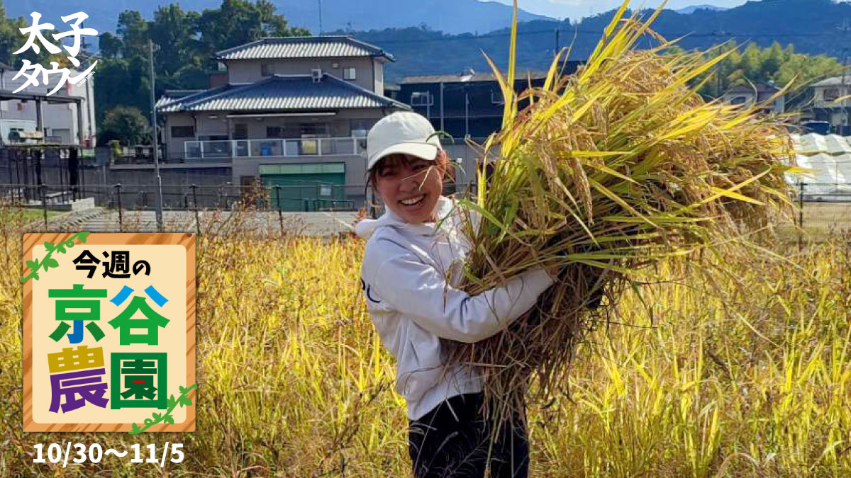 今週の京谷農園10月30日~11月5日