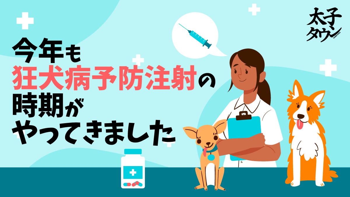 今年も「狂犬病予防注射」の時期がやってきました