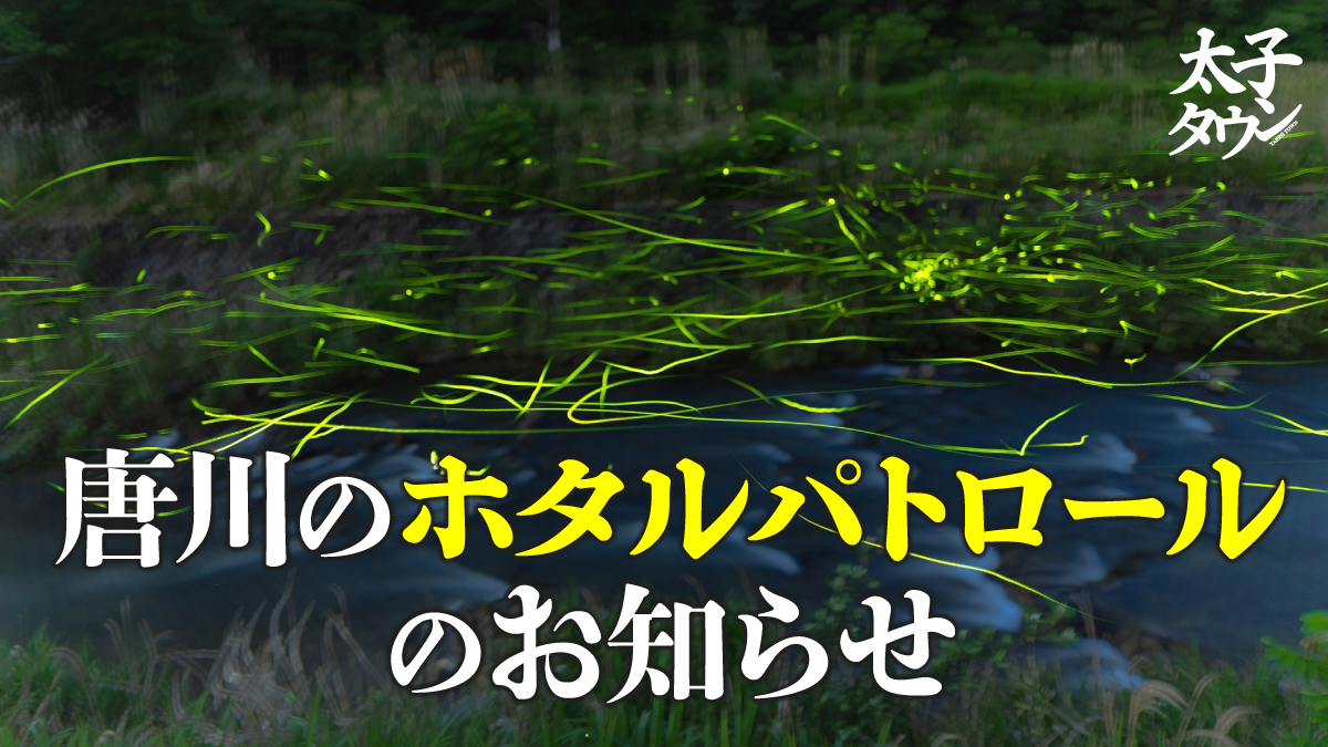唐川のホタルパトロールのお知らせ