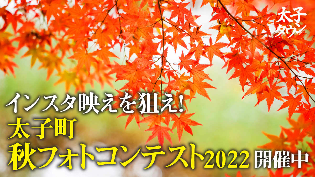 【大阪府太子町】インスタ映えを狙え！「太子町秋フォトコンテスト2022」開催中