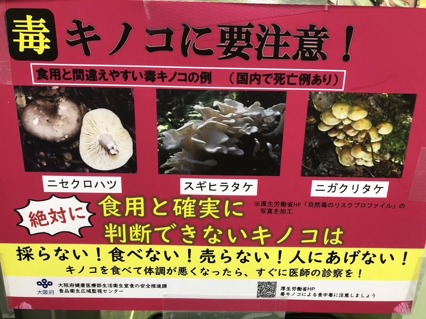 大阪府太子町】毒きのこにご注意ください！ ｜ 太子タウン | 太子タウン
