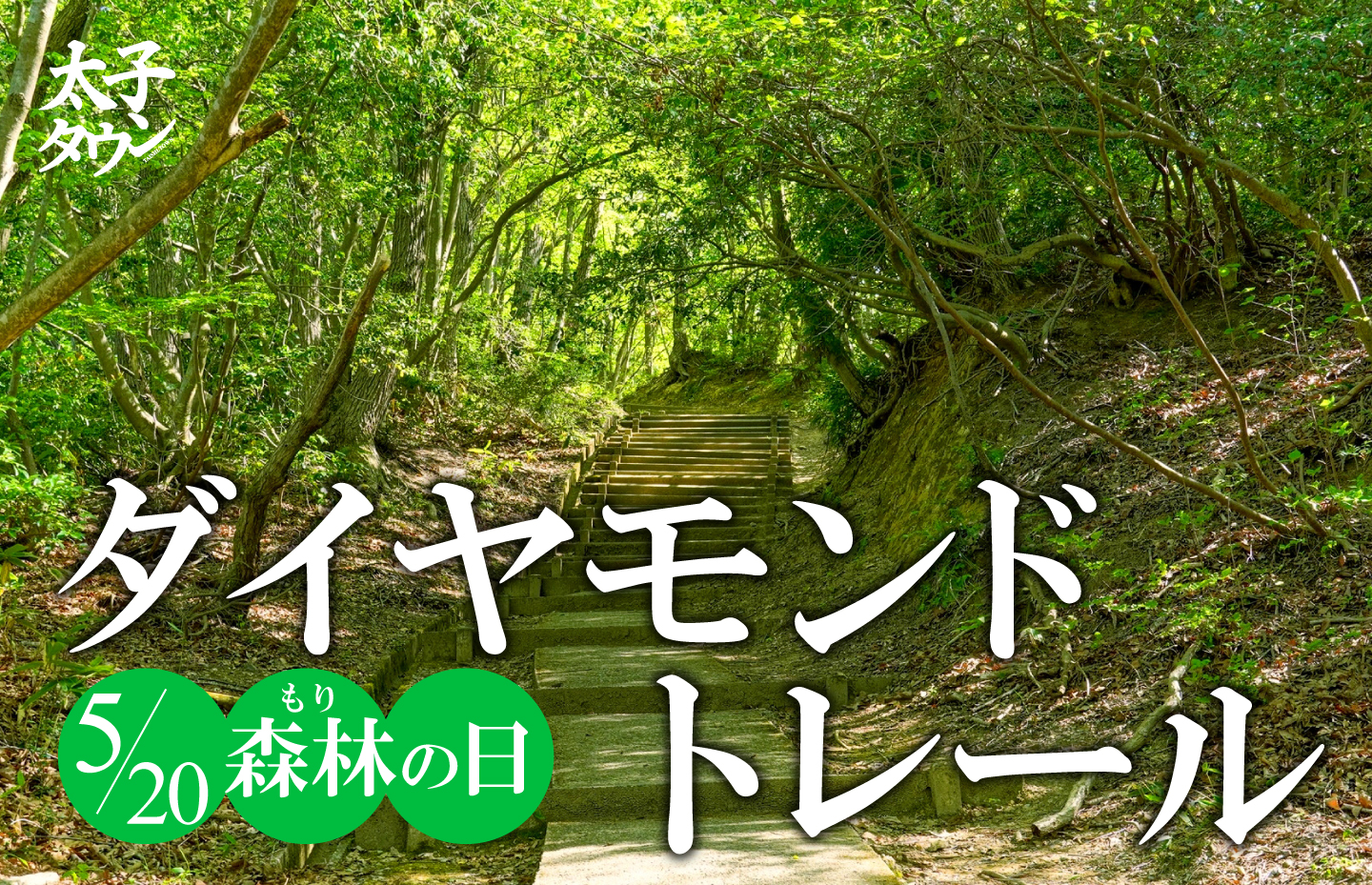 ダイヤモンドトレール 「森林(もり)の日」5月20日