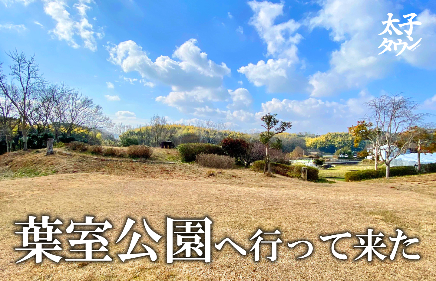 葉室公園へ行ってきた