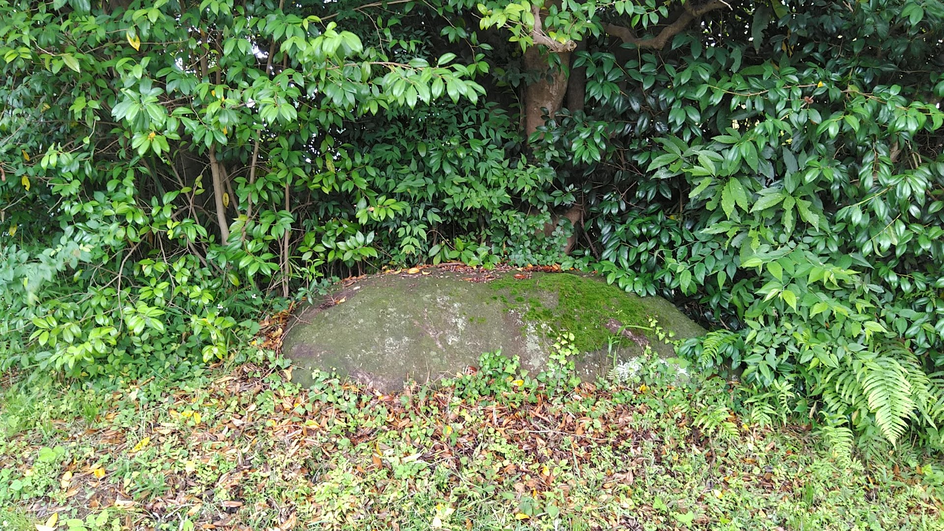 仏陀寺古墳1