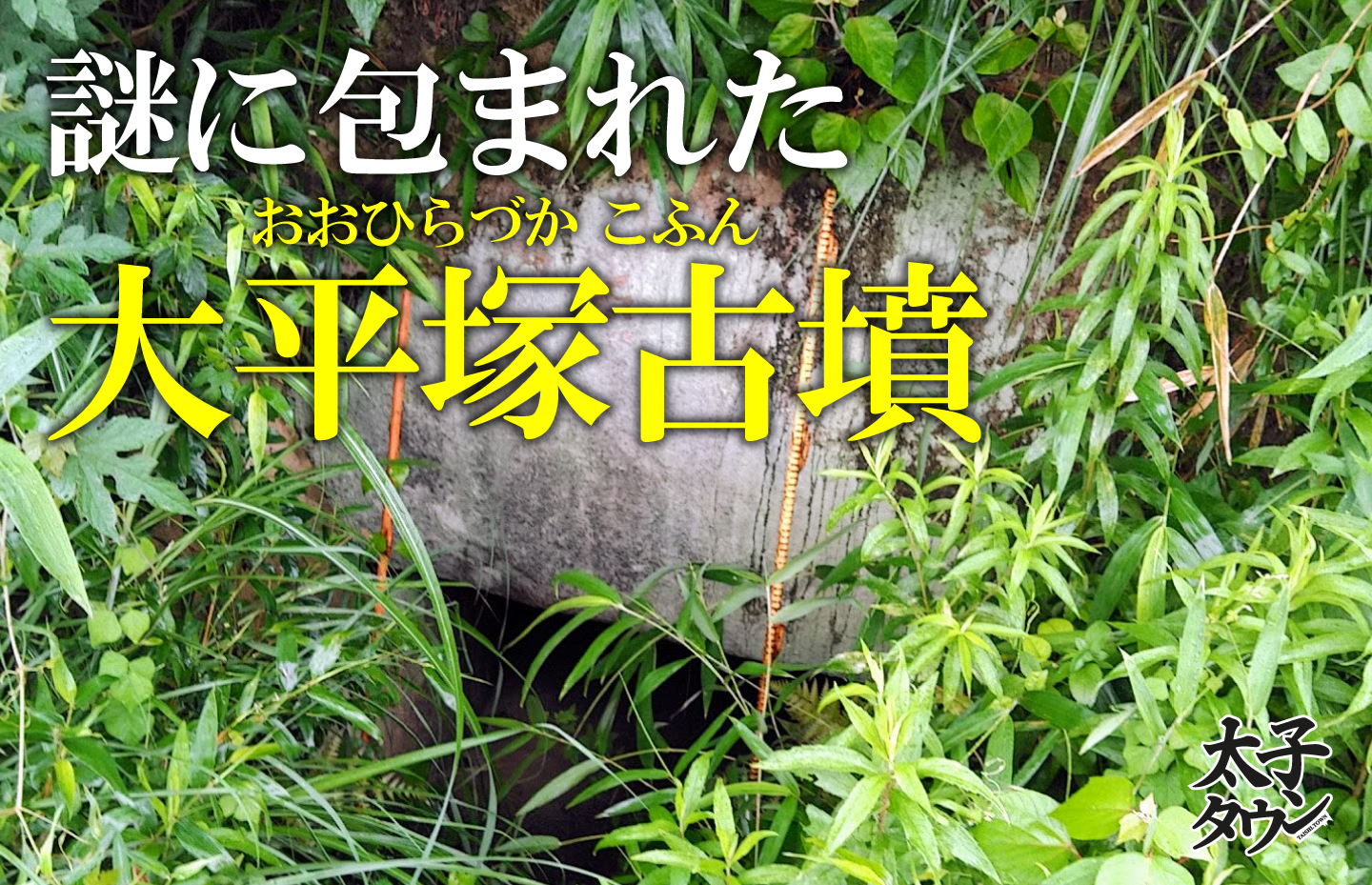 謎に包まれた大平塚古墳