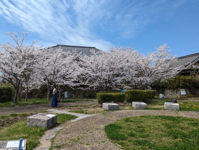 2024年和みの広場02