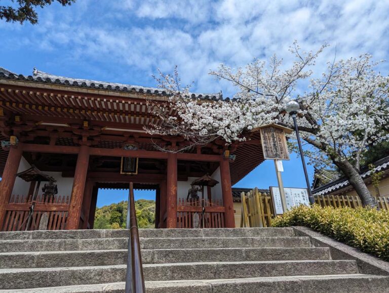 2024年叡福寺02
