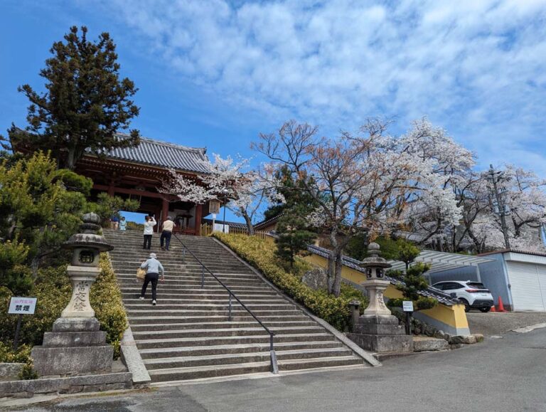 2024年叡福寺03
