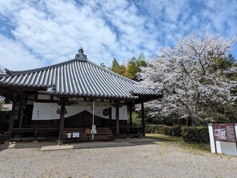2024年南林寺01