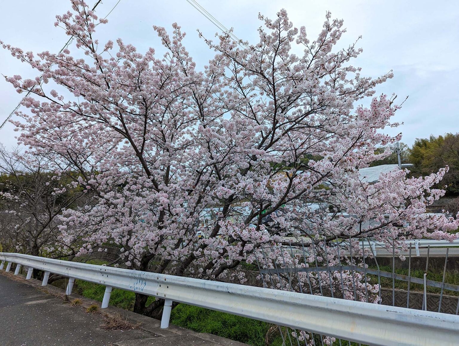 2024年太井川02