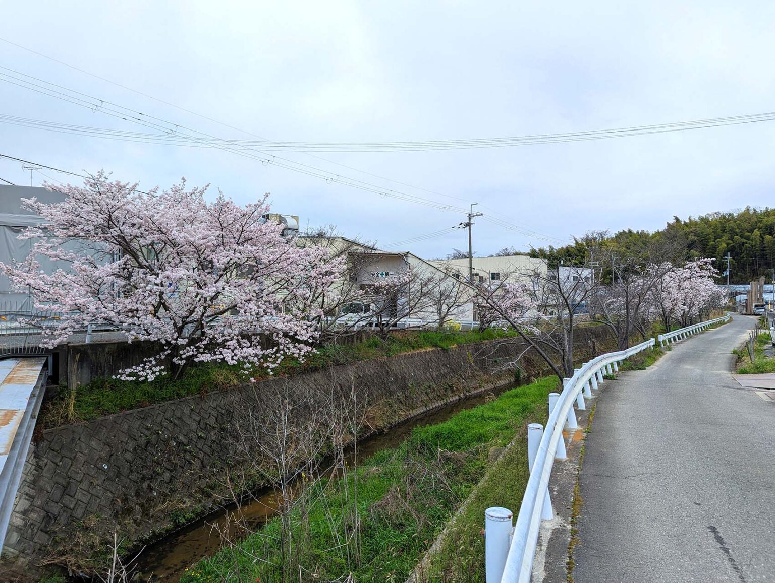 2024年太井川01