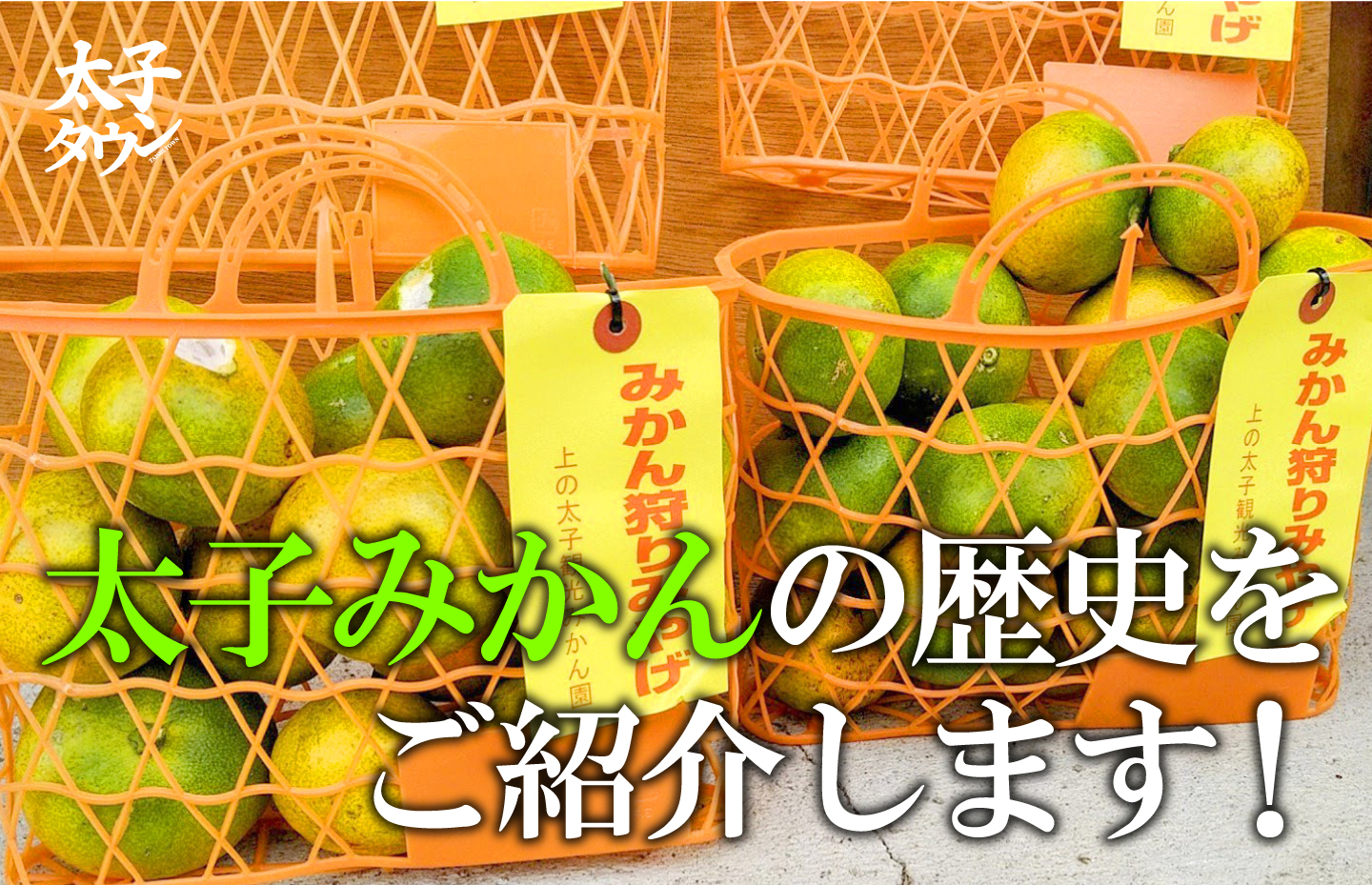 太子みかんの歴史をご紹介します!