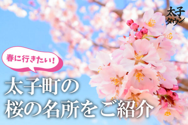 太子町の桜の名所を紹介