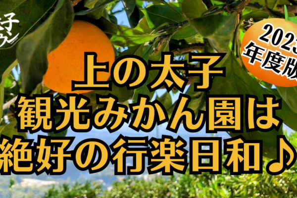 【大阪府太子町】聖徳太子の命日（4月11日）
