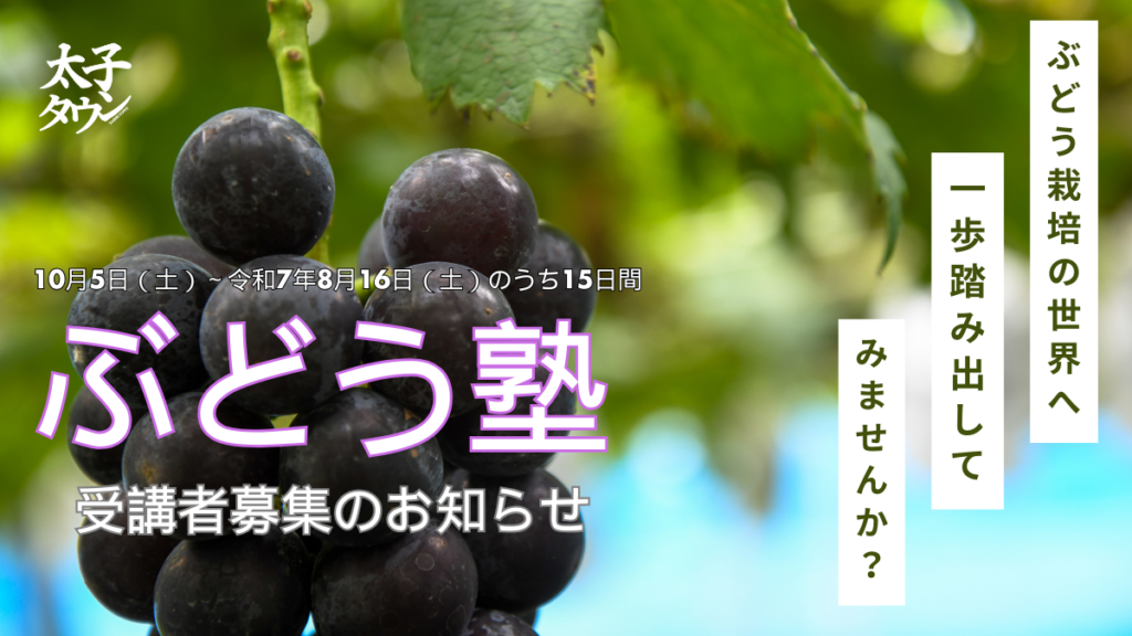 令和6年度　太子町ぶどう塾　塾生募集