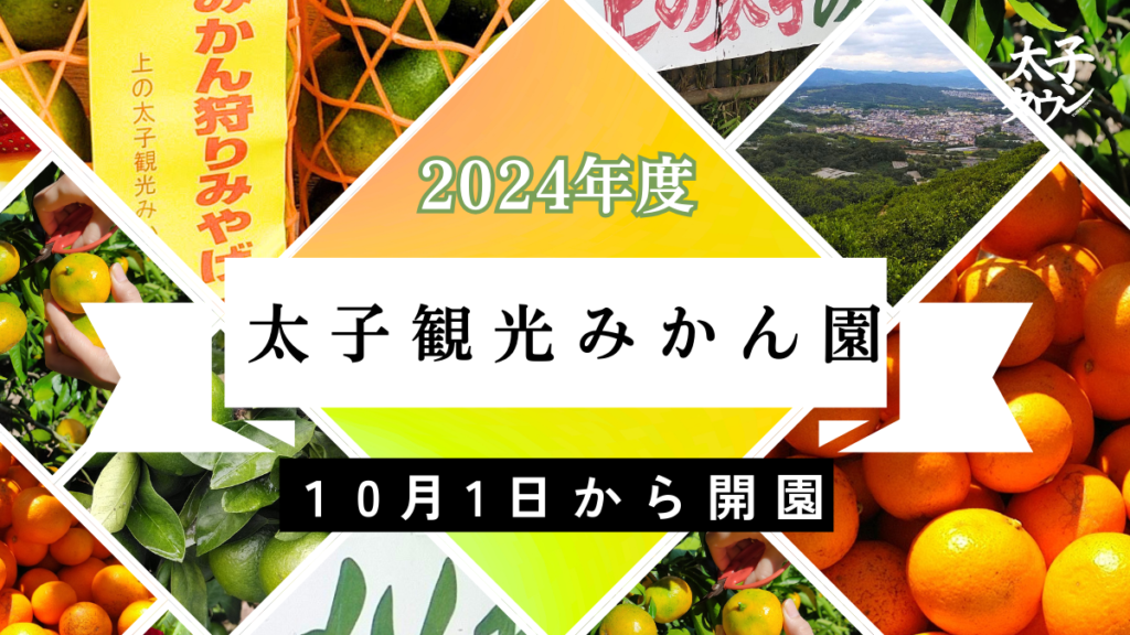 太子観光みかん園が2024年もオープン！