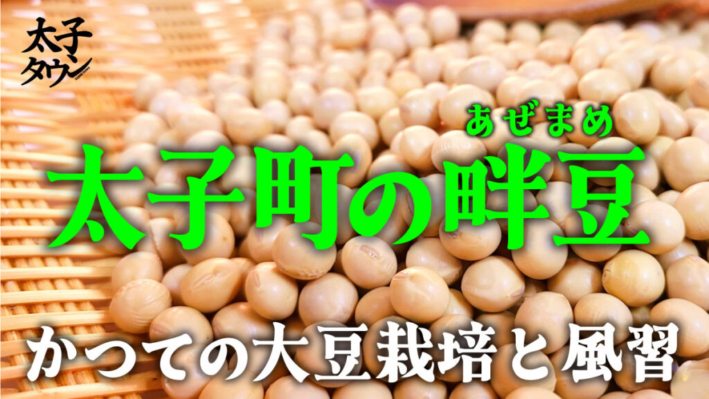 【大阪府太子町】太子町の畔豆（あぜまめ） かつての大豆栽培と風習